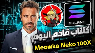 شرح مشروع Meowka Neko | اكتتاب قادم على PinkSale الربح من العملات الرقمية