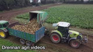 Pulling beet 2021 -Drennan agri