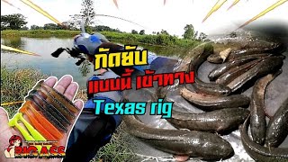 เหยื่อดี หมายเด็ด​ เท็ก​ซัส​ริก​ Texas​ rig​ #น้าศาล_เบ็ด​ซิ่ง​