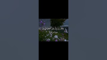 ﴿قَالَ رَبَّ إِنَّ وَهَنَ ألعَظمُ مِنَّي﴾ سورة مريم الأية ٤ القارئ المنشاوي 🤍✨. #اكسبلور #قران_كريم