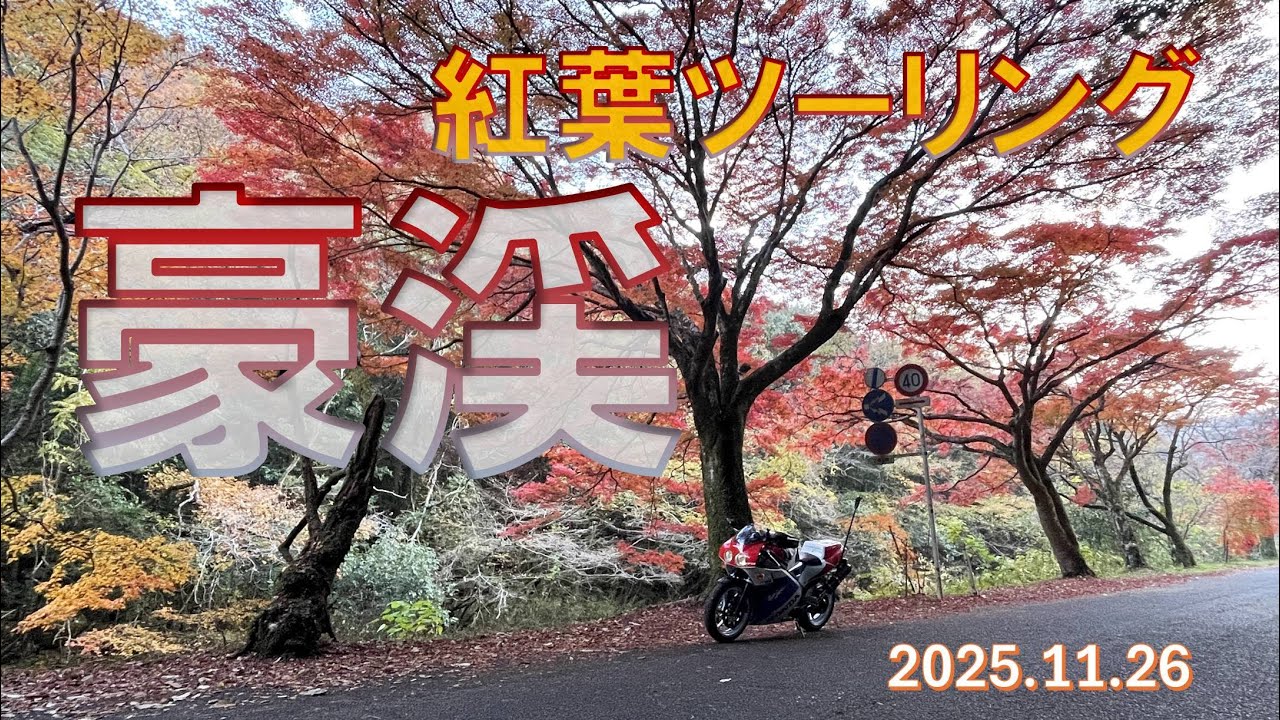 20251126 佐藤食堂～豪渓～紅葉ツーリング VFR400R XSR900GP CRF Ninja
