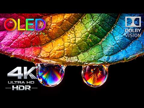 The Best Part of OLED Is Right Here | 4K HDR 60FPS Dolby Vision Demo (4K Video Ultra HD)