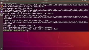Python Import Error ModuleNotFoundError : No Module Named Openpyxl