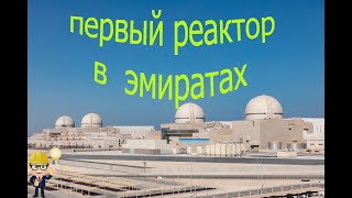 Первая атомная электростанция в ОАЭ. Ядерная установка.