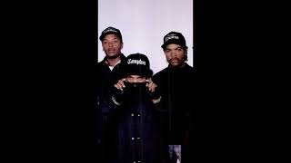 Dr. Dre ft. Ice Cube, Eazy-E - Natural Born Killaz (MASHUP)