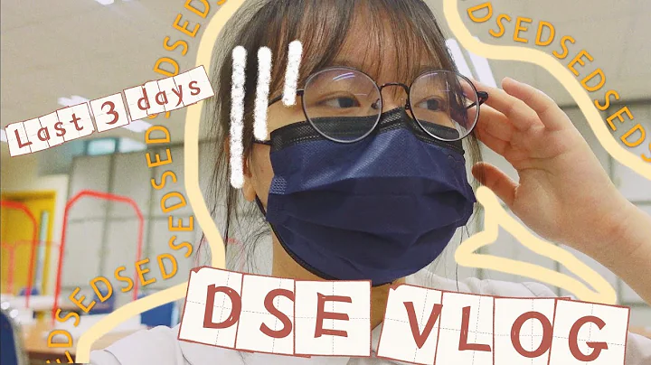 【DSE 全记录#1】最后三日到底做紧咩？！温紧书定系。。。VLOG - 天天要闻