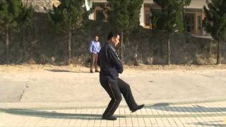 Master-Qian Zhaohong -Xin Yi Liu He Quan-video-2.m4v Master-Qian Zhaohong -Xin Yi Liu He Quan-video-2.m4v