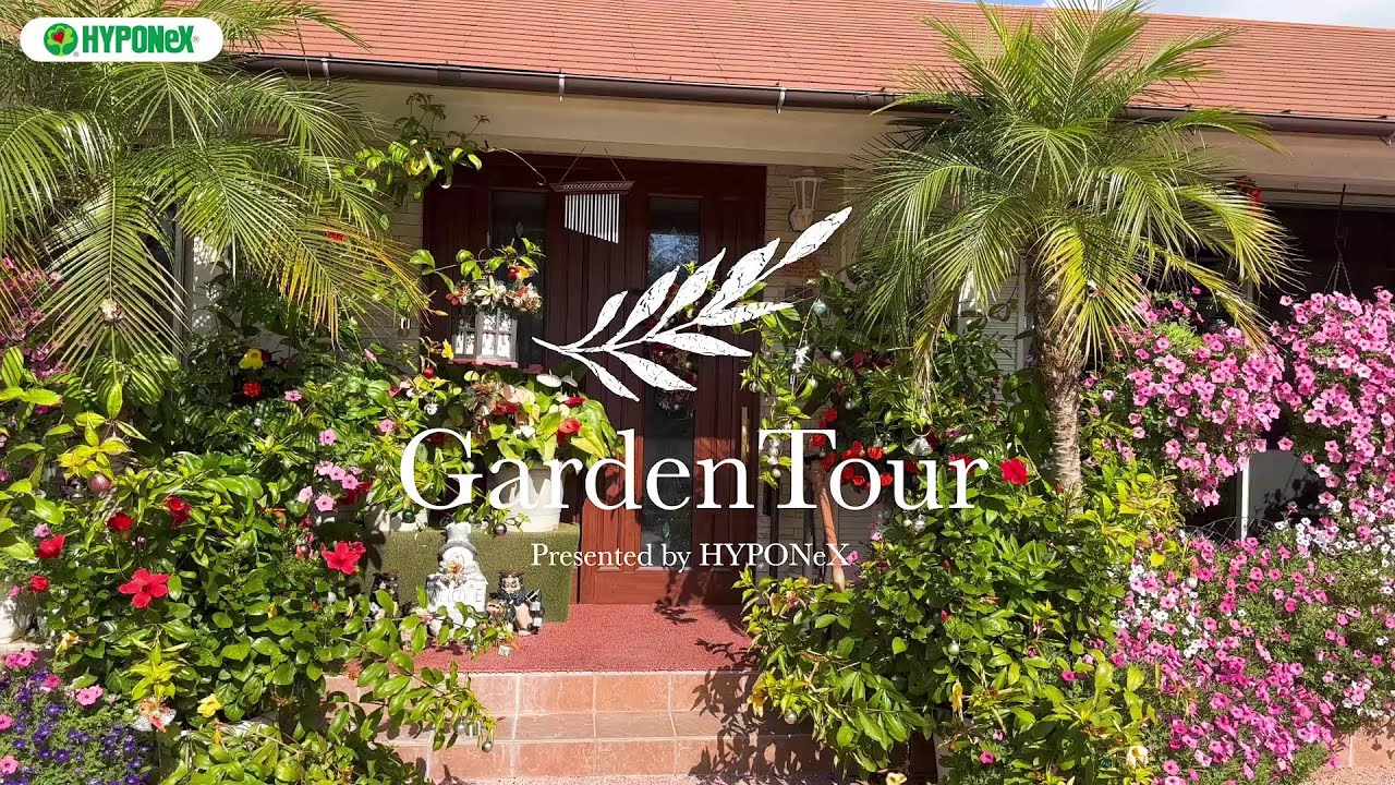 🕊Garden Tour🕊85：「ようこそさっちゃんのフェニックスガーデンへ