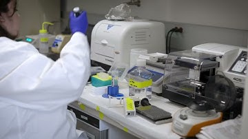 Medical School Research: Study Discovers Novel Biomarker for Vascular Aging and Neurodegeneration