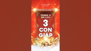 SỐ TRỜI ĐÃ ĐỊNH Chỉ 3 Trong 12 Cong Giáp Này Thôi #12congiap