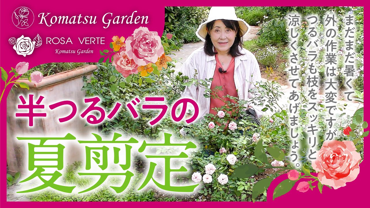 Rose pruning] Summer pruning of semi-climbing roses - YouTube