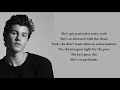 Shawn Mendes - Particular Taste (lyrics)