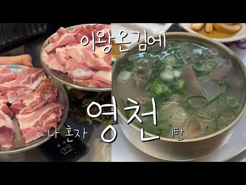 나혼자 경북 영천 1박2일🚅 1탄 (영천뚜벅이여행 | 맛집추천 | 영천시청맛집 | 영천한의마을 | 영천오일장 | 동의참누리원영천한의마을 )
