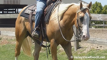 Trigger***For info, price, etc., go to our website***ValleyViewRanch.net