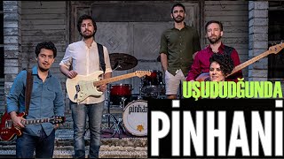 Pinhani - Uşuduğunda Resimi