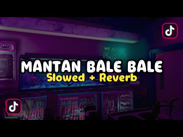 DJ Mantan Bale Bale - Slow & Reverb 🎧 class=