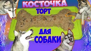 Как Сделать Торт Для Собаки? Подарок Рэсси ♥ #Хаски