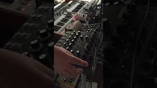 Couch Heros / Lyra8 - Ritm2 - Dominion1 #electronicmusic #music #analogsynth #techno #synth #akai
