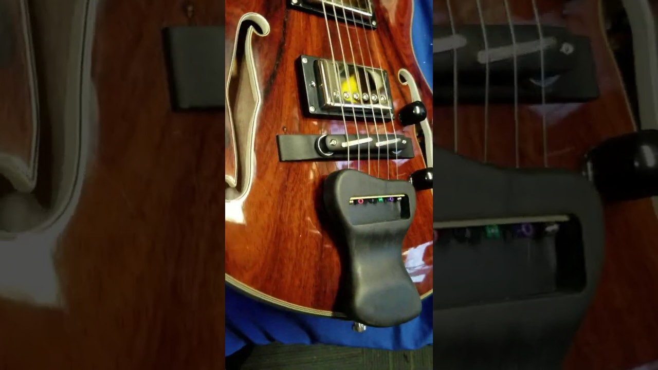 Rosewood Ollandoc Guitar For Sale Languedoc Phish Trey