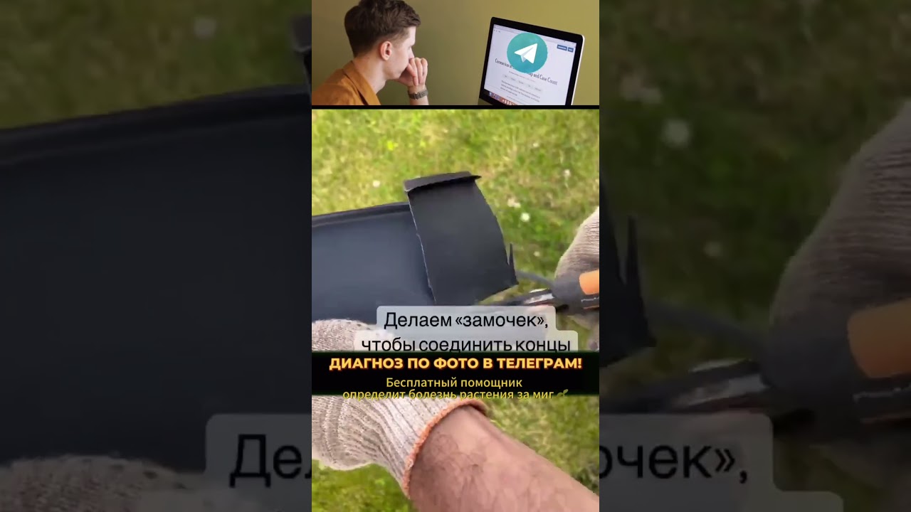 Вступай в клуб продвинутых огородников! Ссылка в шапке профиля 