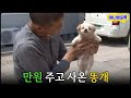 풀버전 시장에서 만원 주고 사온 똥개 우리 과연 친해질 수 있을까 만 원 짜리 똥개 I KBS 인간극장 수상한 삼형제 2011 방송 풀버전 시장에서 만원 주고 사온 똥개 우리 과연 친해질 수 있을까 만 원 짜리 똥개 I KBS 인간극장 수상한 삼형제 2011 방송