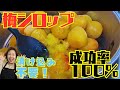 【青梅無くても大丈夫!】むしろ簡単に美味しい梅シロップが飲めますよ♪