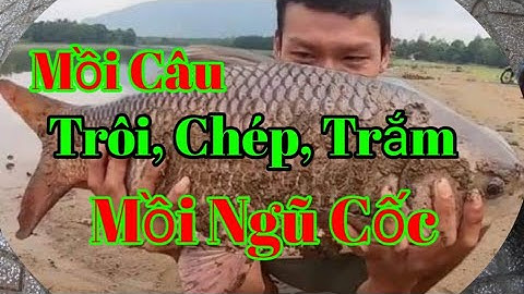 Mồi câu cá  trôi, chép, trắm, Hiệu Quả - Dể Làm, Mồi Ngũ Cốc