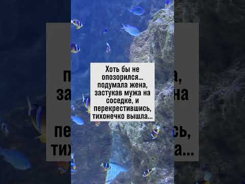 Забавные ситуации из жизни! Иногда лучше тихо уйти. #юмор #смешно
