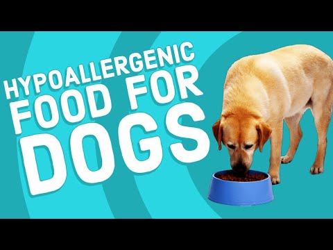 Video: Hjemmelavet Hypoallergen Dog Food