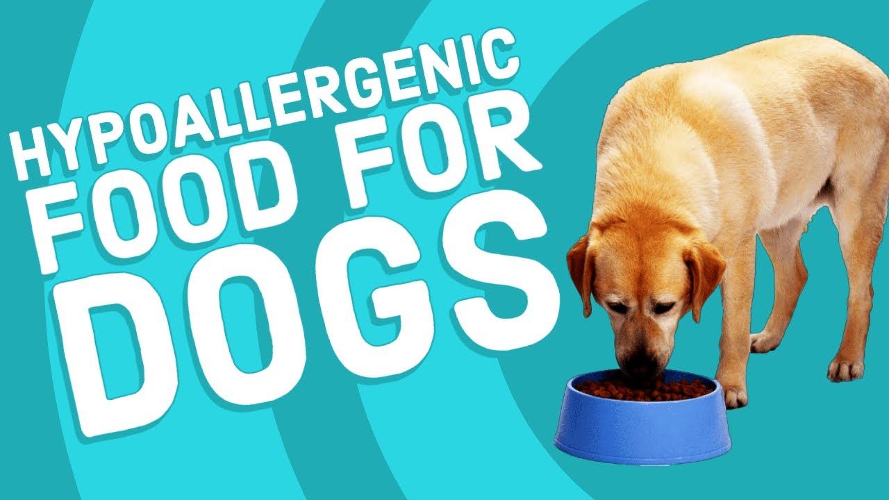 is raw dog food hypoallergenic