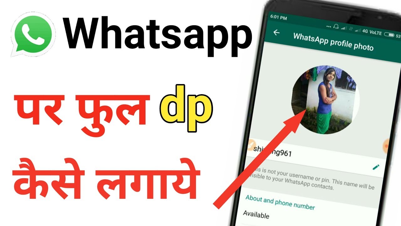 fogyás dp a WhatsApp