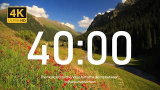 40 Minute Timer with Relaxing Piano Music | Falling Autumn Leaves (Fall Classroom Timer)