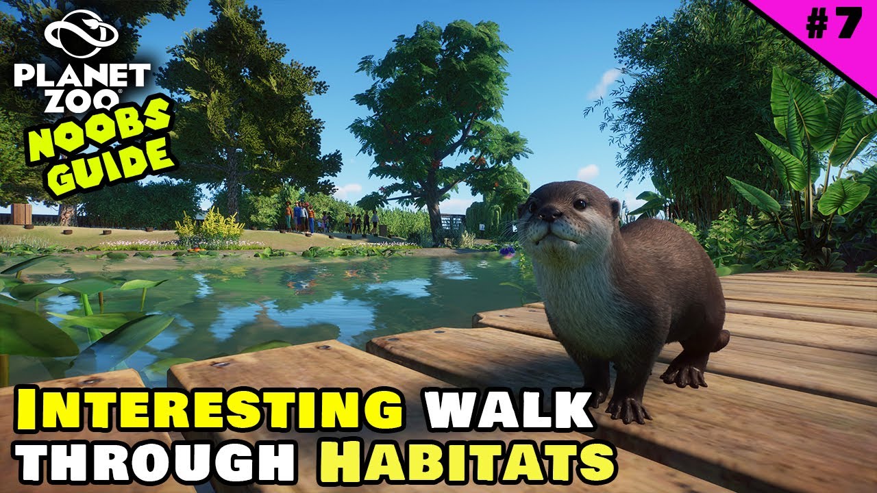 Walk Through Habitats & MultiLevel Guest Building Design! Zoo