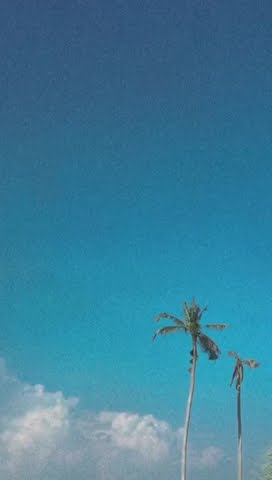 Story WA | Polosan Video Aesthetic
