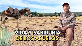 AQUÍ POR LAS MAÑANAS LA GENTE SALÍA EN SUS BURROS