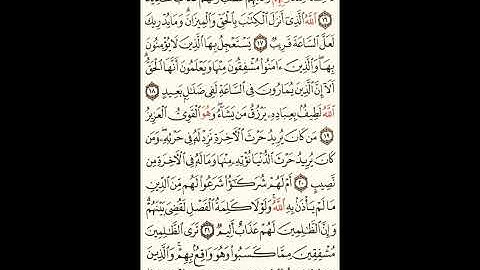 سورة الشورى الصحيفة رقم 485 بصوت المقرئ فضيلة الشيخ د.أحمد عبد الرحمن الخجا الدمشقي الشافعي 🌸