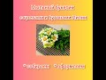 Мыловарение в Германии • Букет с лилиями • формы с сайта Мыльная вечеринка