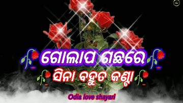 Odia love shayari 🥀💯 rose shayari | odia shayari | whatsapp status vedio | dhoka shayari