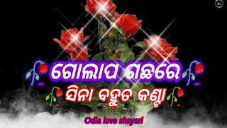 Odia love shayari 🥀💯 rose shayari | odia shayari | whatsapp status vedio | dhoka shayari Resimi