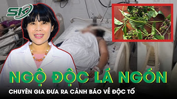 Lại Thêm Trường Hợp Ngộ Độc Lá Ngón, Chuyên Gia Đưa Ra Cảnh Báo | SKĐS