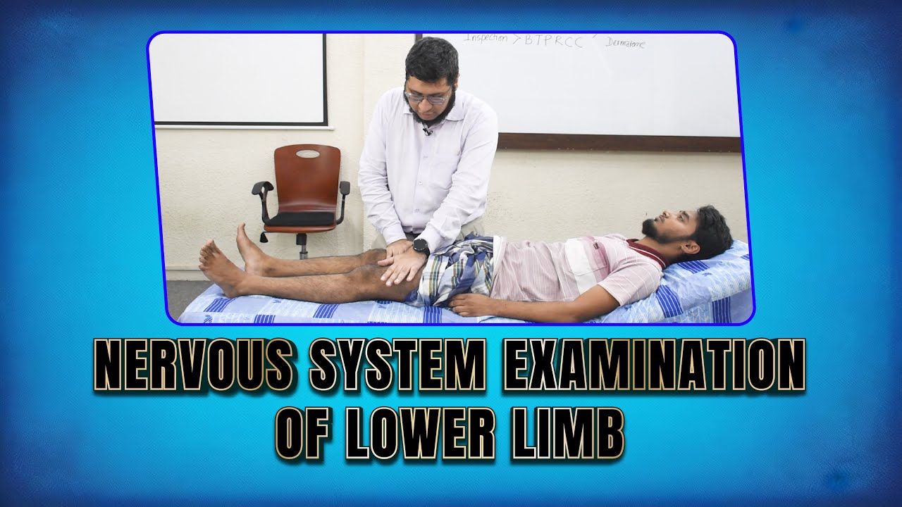 NERVOUS SYSTEM EXAMINATION OF LOWER LIMB