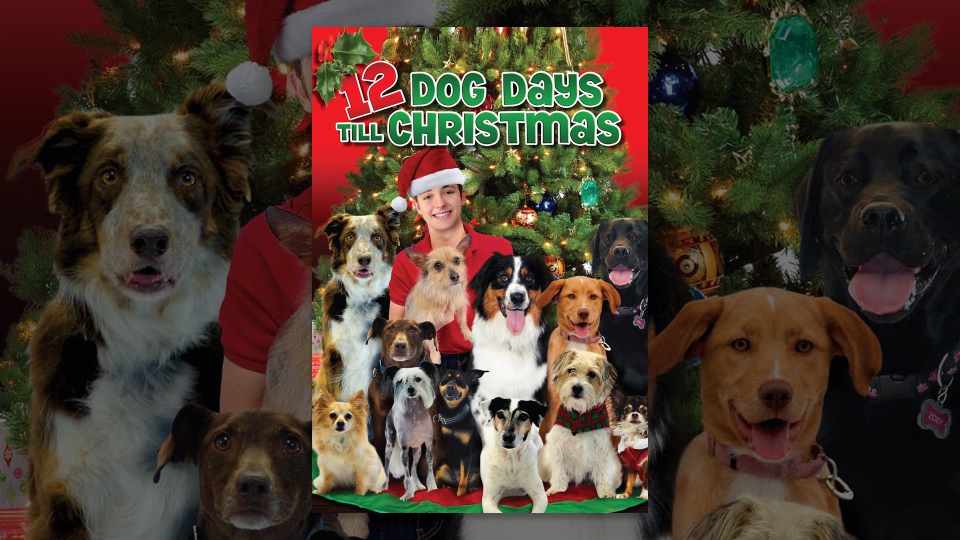 12 Dog Days Till Christmas - YouTube