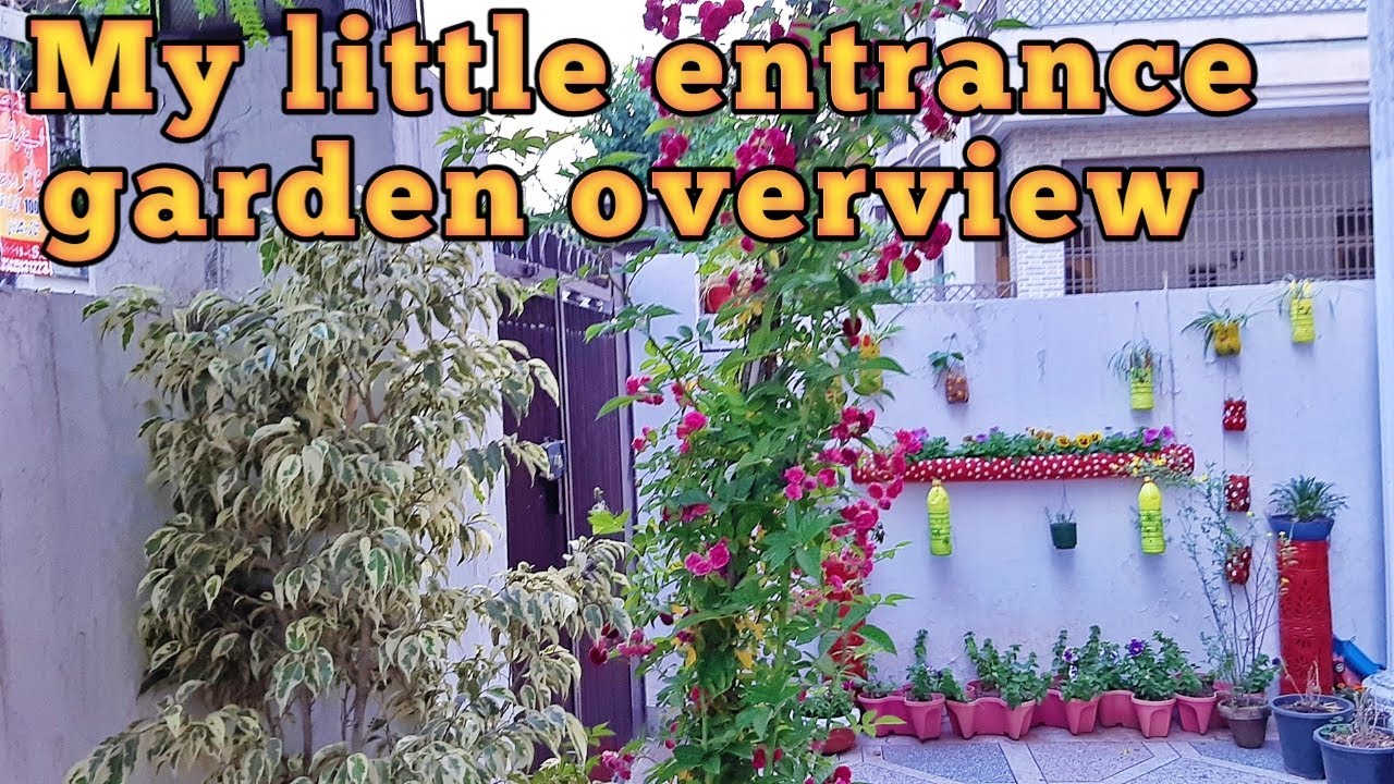The Entrance Garden Design Ideas YouTube