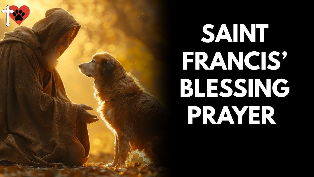 Saint Francis Blessing for Sick and Elderly Dogs - Prayer for Comfort and Healing – prayer for dog