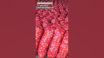 #Onion Shipment Exporting to Kuwait