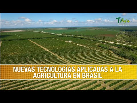 Video: Brasil: industria y agricultura