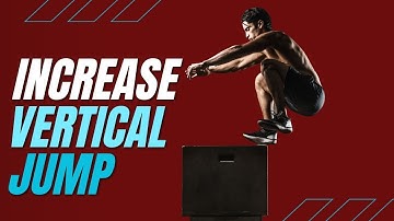 Top 3 Exercises to Increase Vertical Jump (Using Science) Dunk Aid