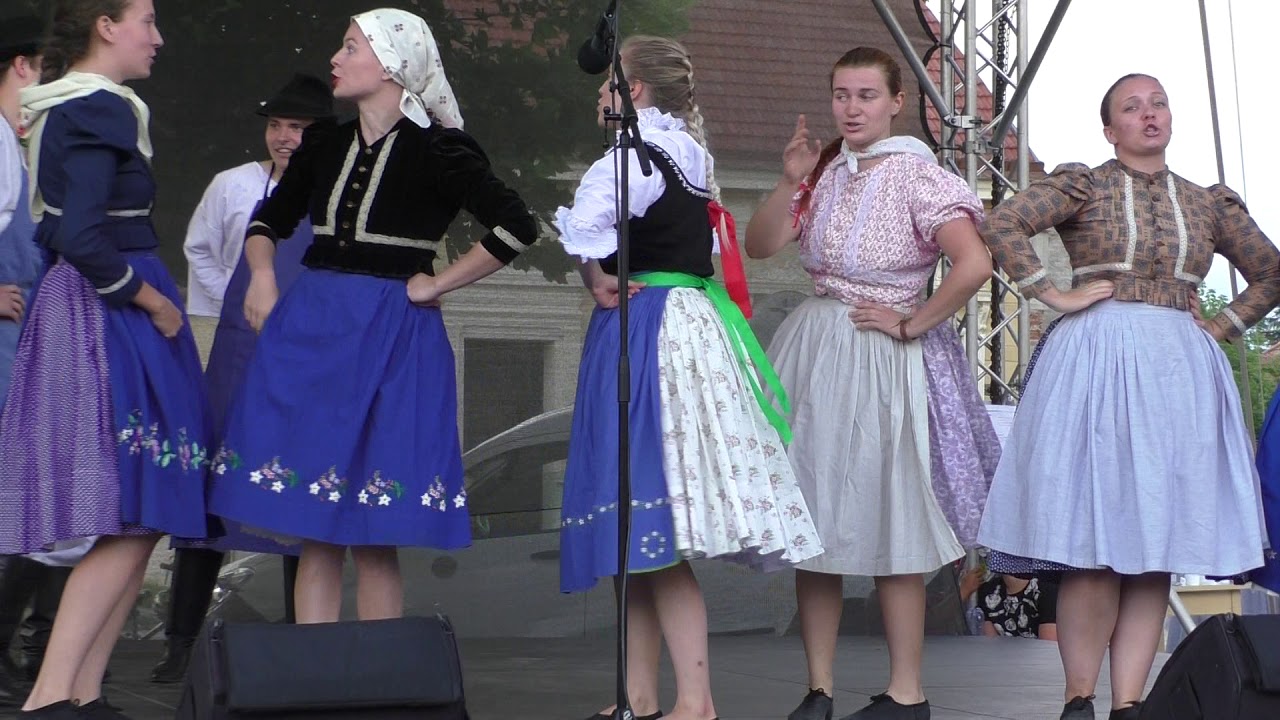 Dostaveníčko strážnických souborů, soubor Demižón