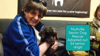 Maddie's Pet Adoption Days 2015 Recap