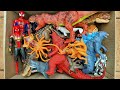 Hunting T-Rex, Distortus Rex, Spinosaurus, Megalodon, Mosasaurus And More Dinosaur Toy